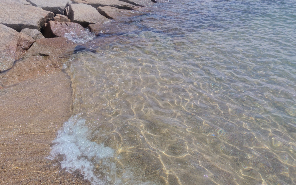 林崎・松江海岸　海水