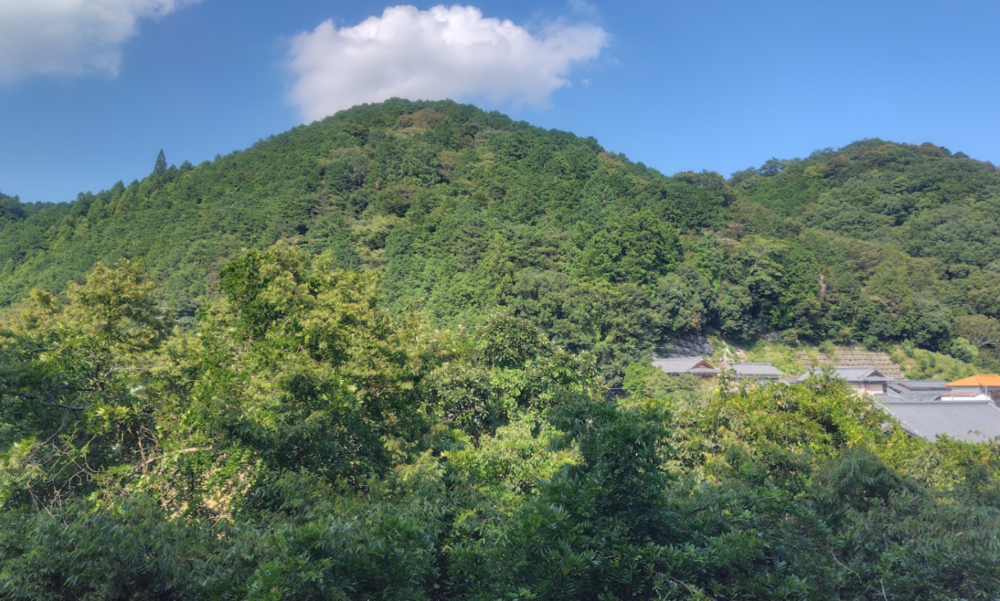 榊原舘　部屋