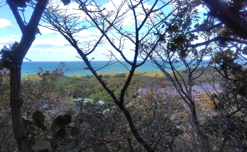 髙山稲荷神社