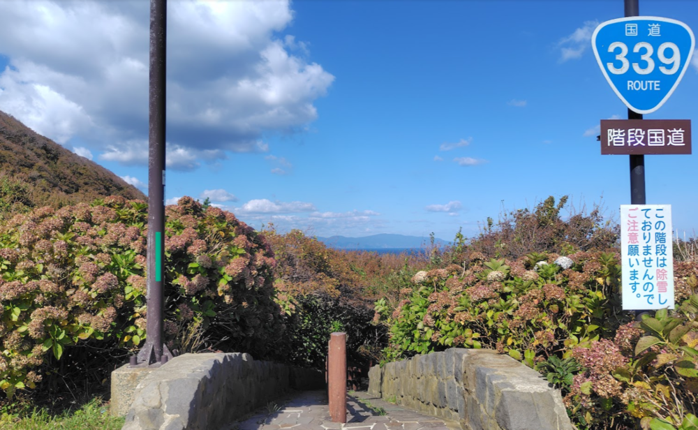 階段国道339号