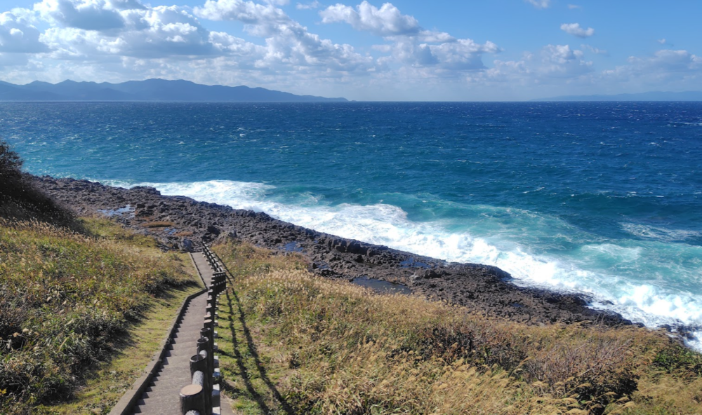 高野埼　